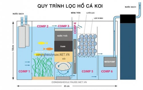 quy_trinh_loc_ho_ca_koi.jpg