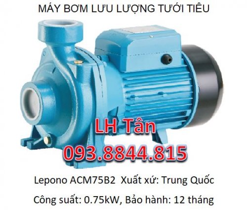 máy bơm nước 1 ngựa Lepono ACM75B2