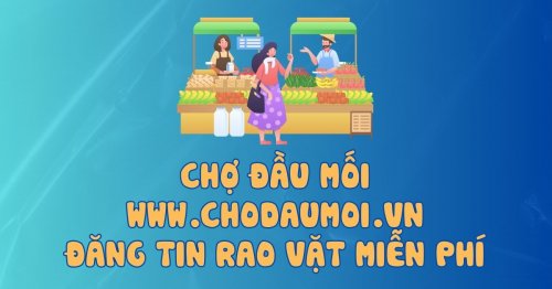 chodaumoi.vn.jpg