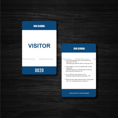 THE-VISITOR-02.jpg