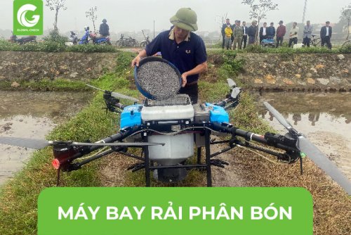 logo-may-bay-rai-phan-2324.jpg