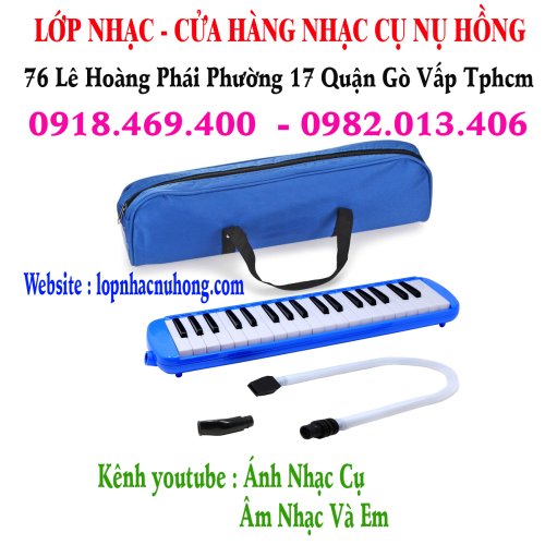melodica 11.jpg