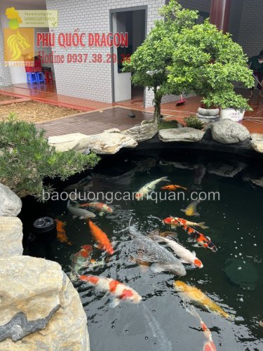 K4.jpg