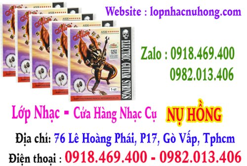 day guitar dien alice sai gon.jpg