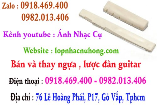 ngua dan guitar tphcm.jpg