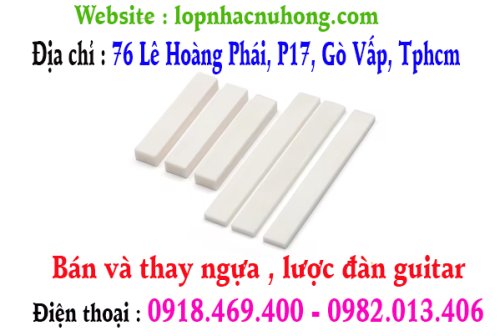 luoc ngua dan guitar.jpg