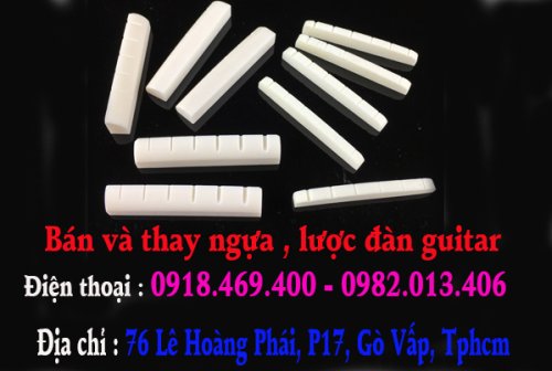 ngua dan guitar hcm.jpg