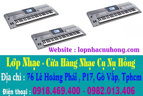 sua dan organ tphcm 6.jpg
