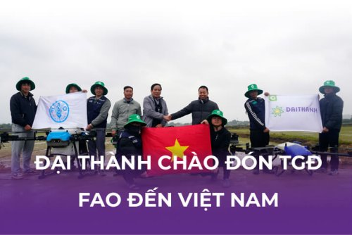 dai-thanh-fao-viet-nam-8.jpg