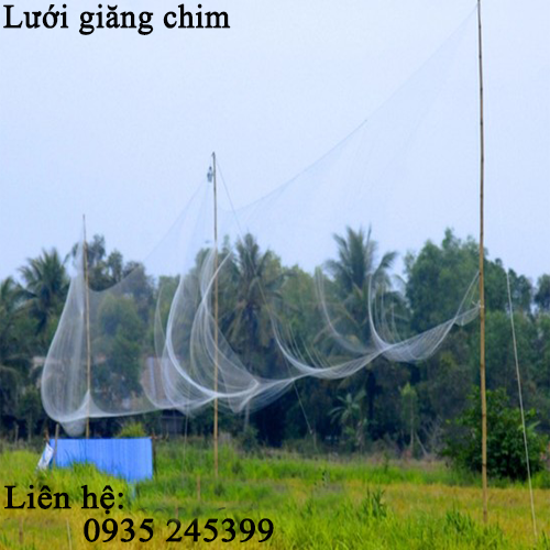 luoi-giang-chim-4.png