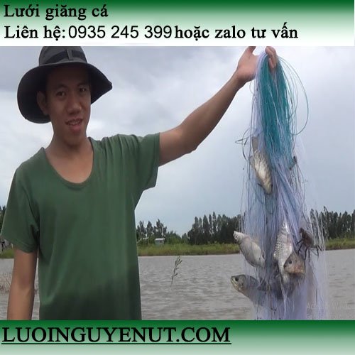 luoi-giang-ca-lon-1.jpg