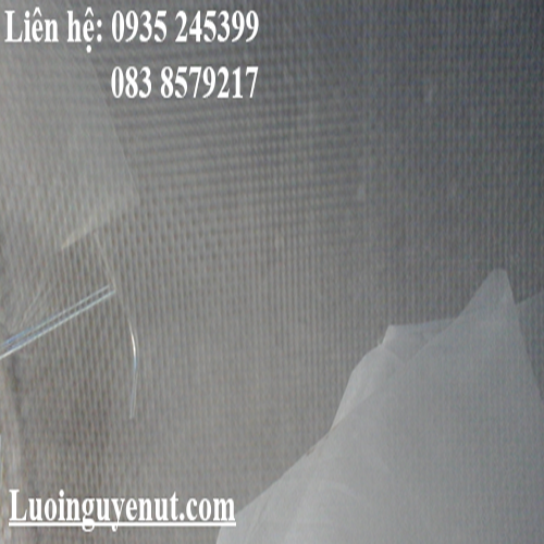 luoi-vi-tinh.png