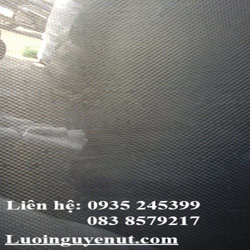luoi-vi-tinh-2.png