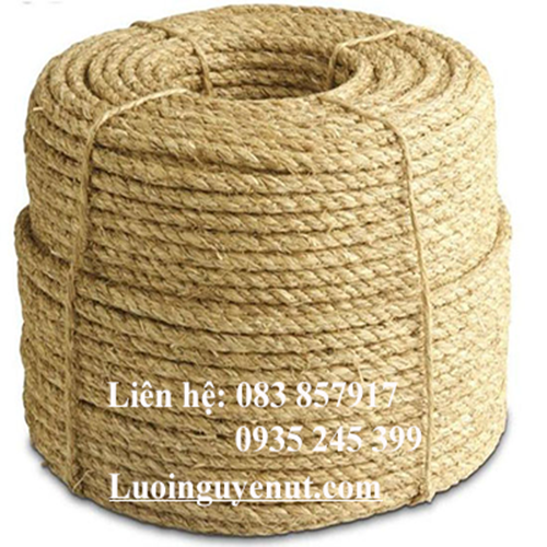 day-thung-day-bo-2.png