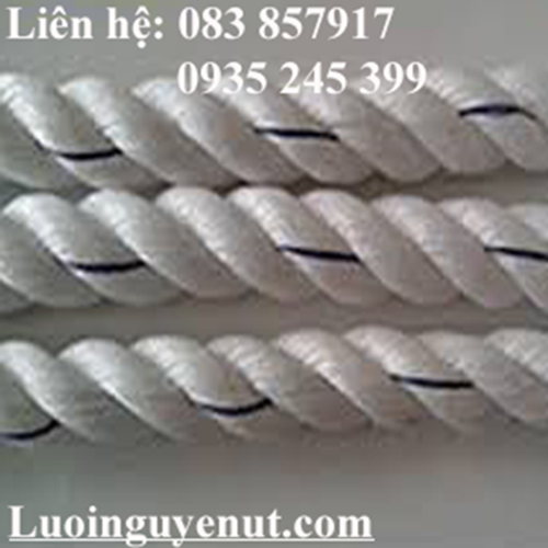 day-thung-nhat.png
