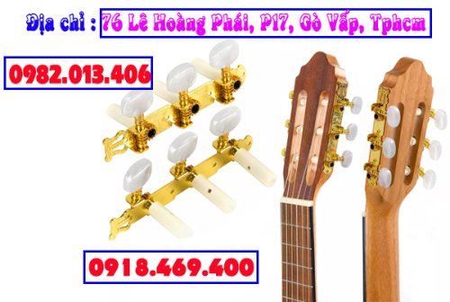 bo khoa dan guitar.jpg