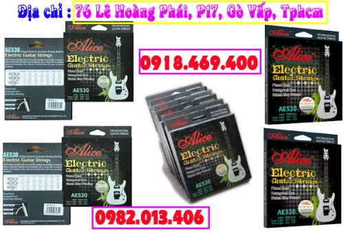 day guitar dien alice.jpg