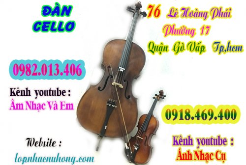 ban-dan-cello-gia-re (8).jpg