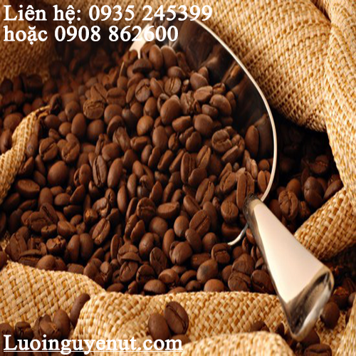 bao-bo-dung-cafe.png