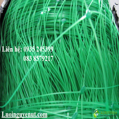 luoi-gian-day-leo-.png