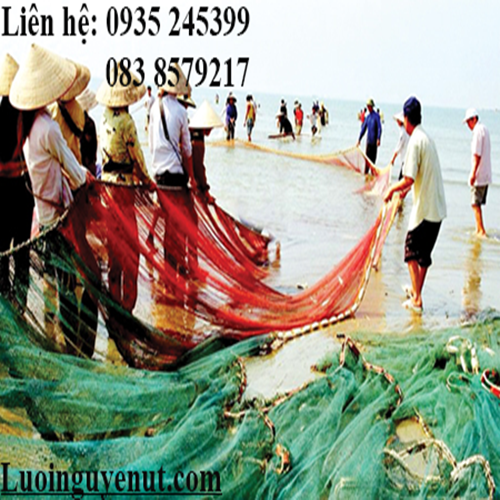 luoi-keo-ca.png