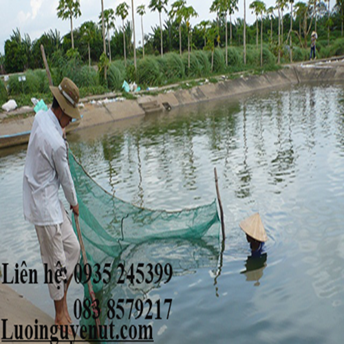 luoi-keo-ca-.png