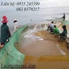 luoi-keo-ca-6.jpg