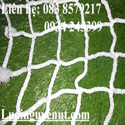 luoi-cau-mon-luoi-khung-thanh-1.png