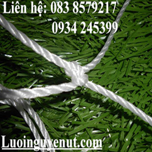 luoi-cau-mon-luoi-khung-thanh-2.png