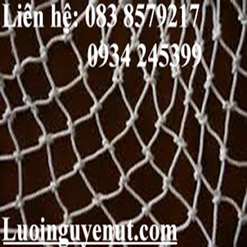luoi-cau-mon-luoi-khung-thanh-3.png