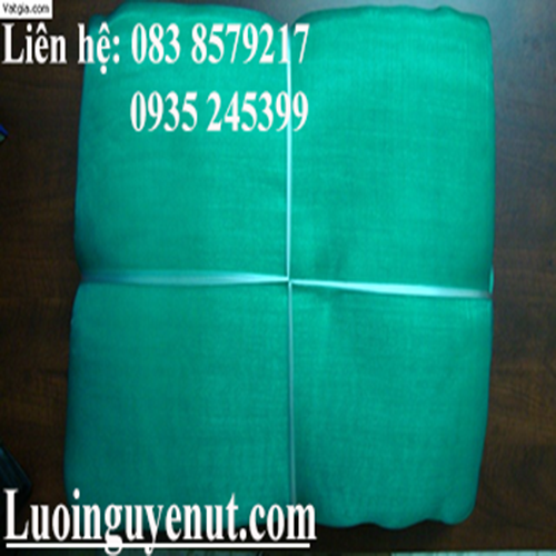 luoi-bao-ho-cong-trinh.png