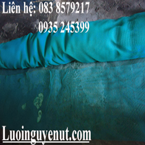 luoi-bao-ho-cong-trinh-1.png