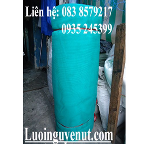 luoi-bao-ho-cong-trinh-2.png