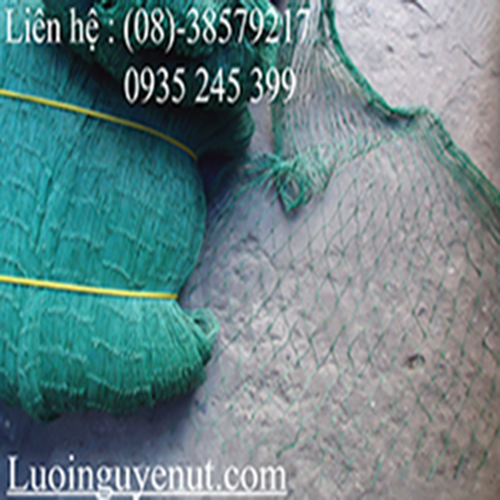 luoi-rao-ga-xanh_1.png