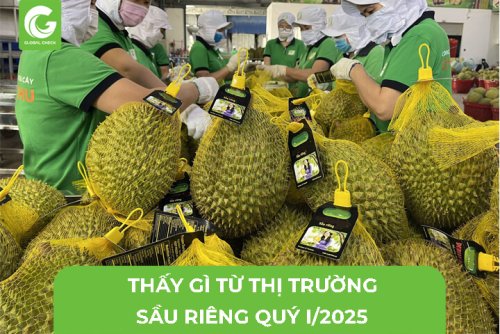 thi-truong-sau-rieng-q1-2025-27.jpg