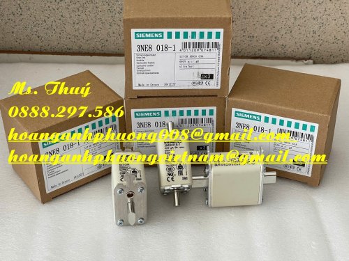 z6237579514241_6ab968d3aea45e41b909d171ccc8f6c5 (1).jpg
