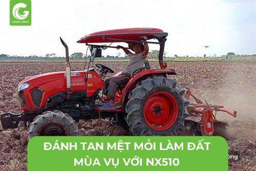 nx510-nhan-ha-mua-vu-10.jpg