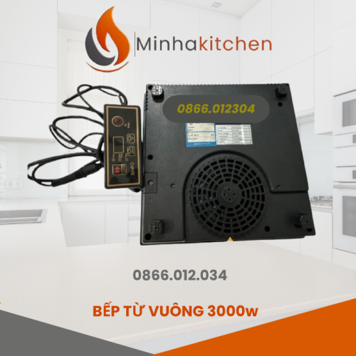 bep-tu-am-ban-vuong-3000w-chat-luong.png