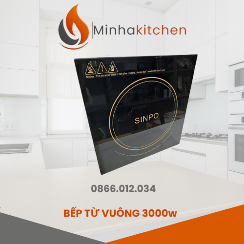 bep-tu-am-ban-vuong-3000w-chat-luong-gia-re-ha-noi.png