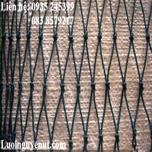 luoi-keo-ca-2.png