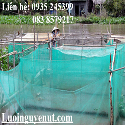 luoi-may-veo-luoi-nuoi-ca-luoi-lam-keo-ca.png