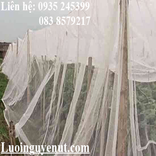 luoi-may-veo-luoi-nuoi-ca-luoi-lam-keo-ca-1.png