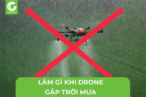 drone-troi-mua-8.jpg