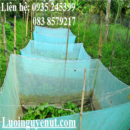 luoi-may-veo-luoi-nuoi-ca-luoi-lam-keo-ca-.png