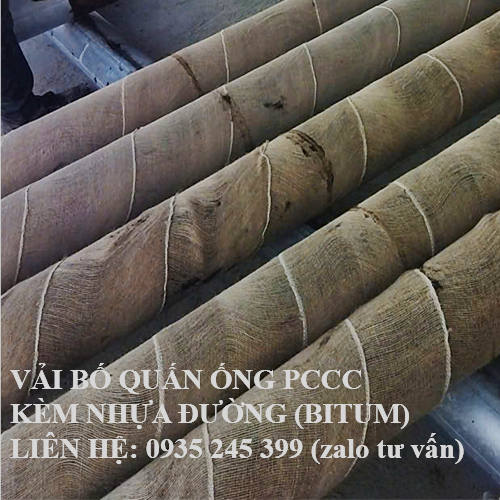 VAI BO (1).png