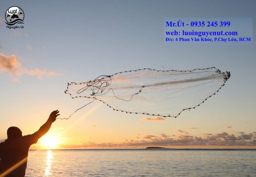 istockphoto-182866246-2048x2048.jpg