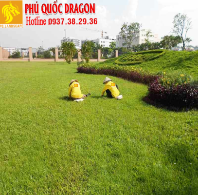 cắt cỏ.png