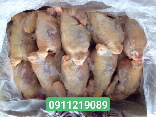 gà nguyen con1.jpg