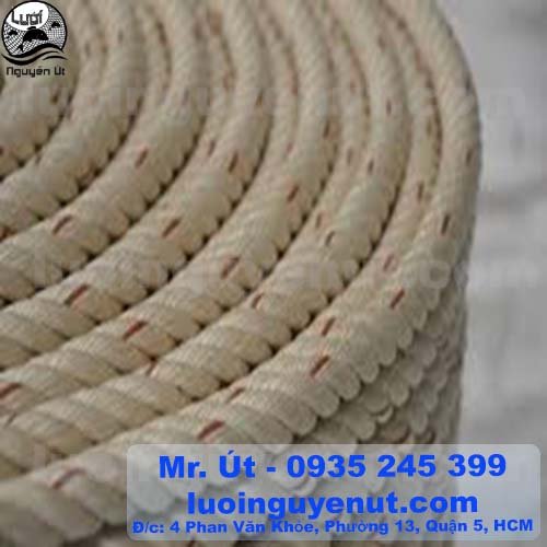 day-bo-thai-lan-1.jpg