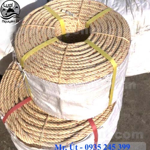 day-bo-thai-lan-2.jpg